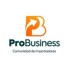 pro business logo
